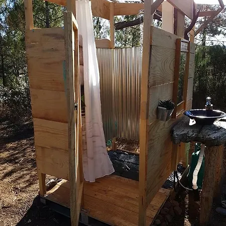Coral Musa Tent *